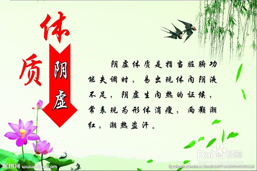 阳虚体质和阴虚体质是怎样的,怎么调养