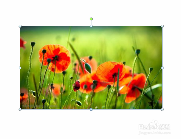 ppt中如何利用插件制作合二为一动画效果