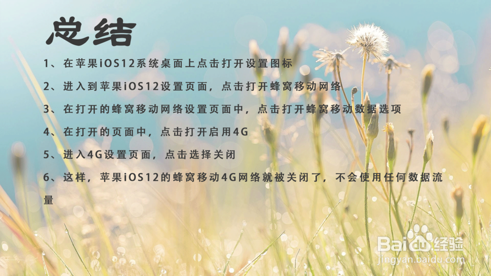 苹果iOS12怎样关闭蜂窝数据移动4G网络？
