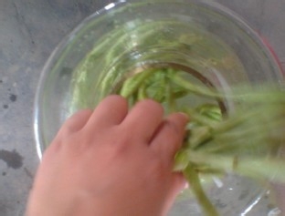 如何腌制酸豆角