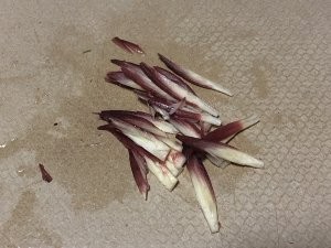 洋葱、茗荷、柴鱼片的凉拌豆腐