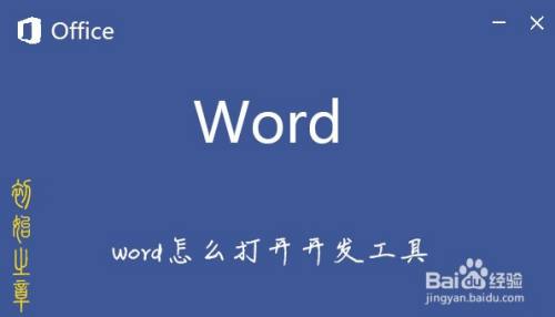 怎么打开Word的开发工具