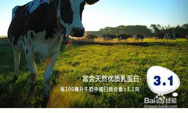 如何选择乳制品