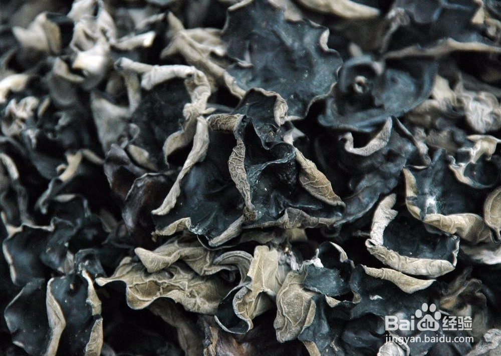 黑木耳怎么挑选？有什么食疗功效？