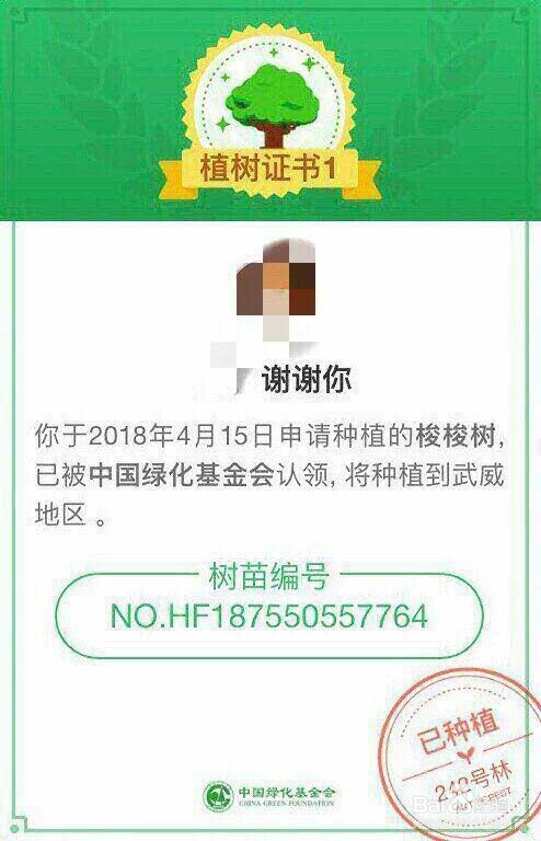 蚂蚁森林攒够能量后怎么种树