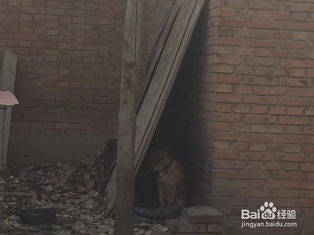 浅谈教育,从发现自我到自我发现