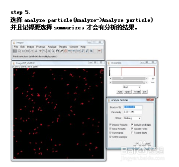 imageJ中文使用方法