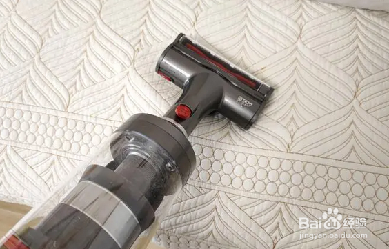 屋里都是柳絮怎么办