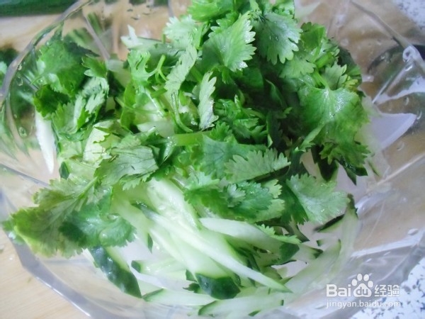 黄瓜香菜拌凉皮