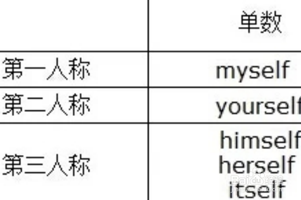 反身代词的用法