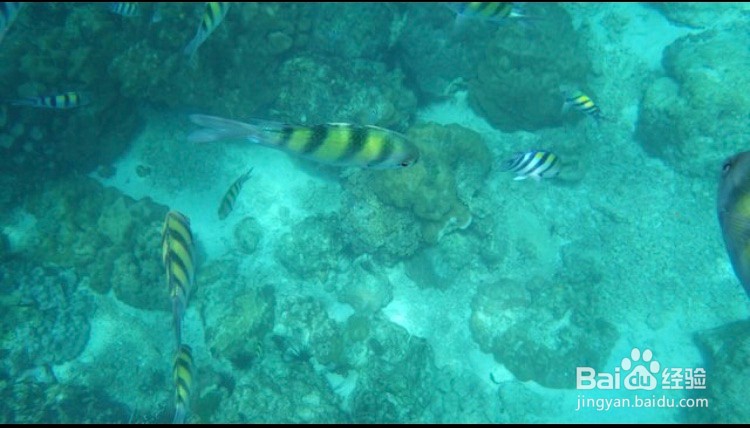 普吉岛旅游购物这六个地方一定要去