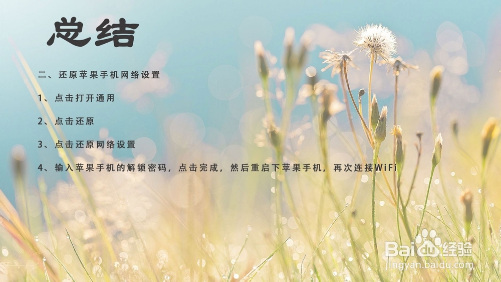 苹果手机连不上wifi是怎么回事