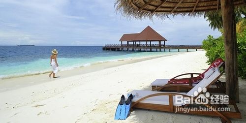 马尔代夫罗宾逊岛攻略2012