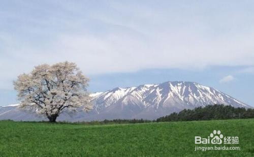 日本岩手旅游攻略