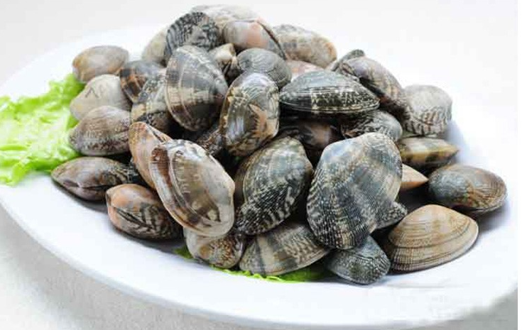 花蛤30头大还是40头大