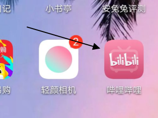 如何下载b站视频