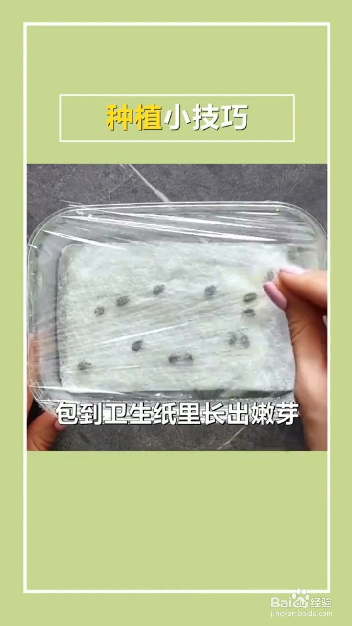 植物种植小妙招