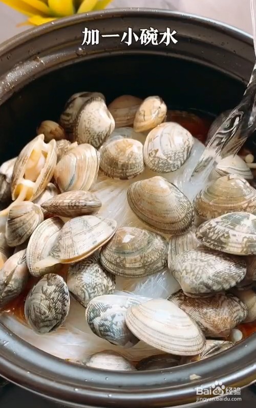 美味花甲教程来啦！