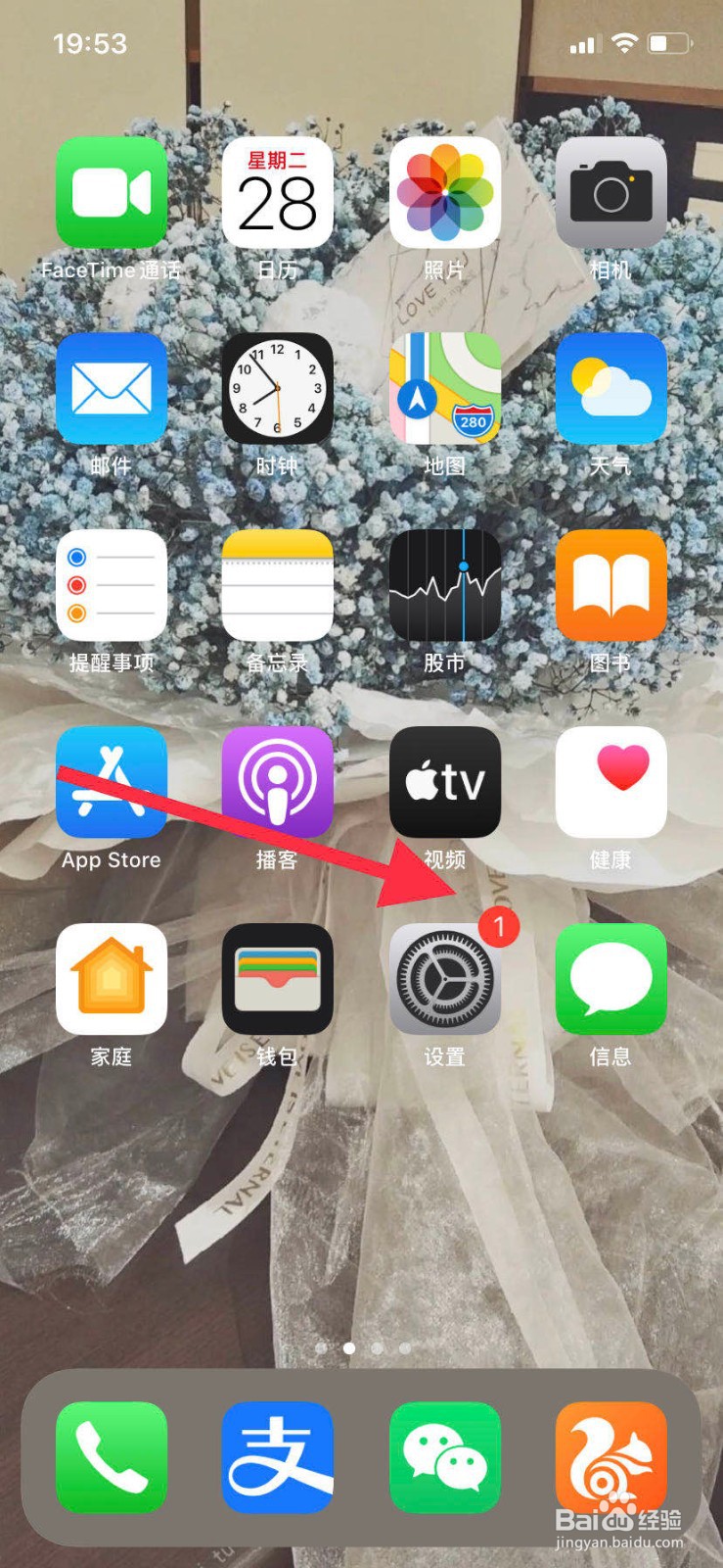 苹果11手机如何查看广告信息
