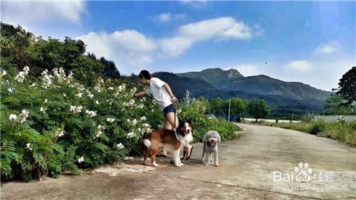 2个省4个市5小以内到深圳西冲路线|爱游游100