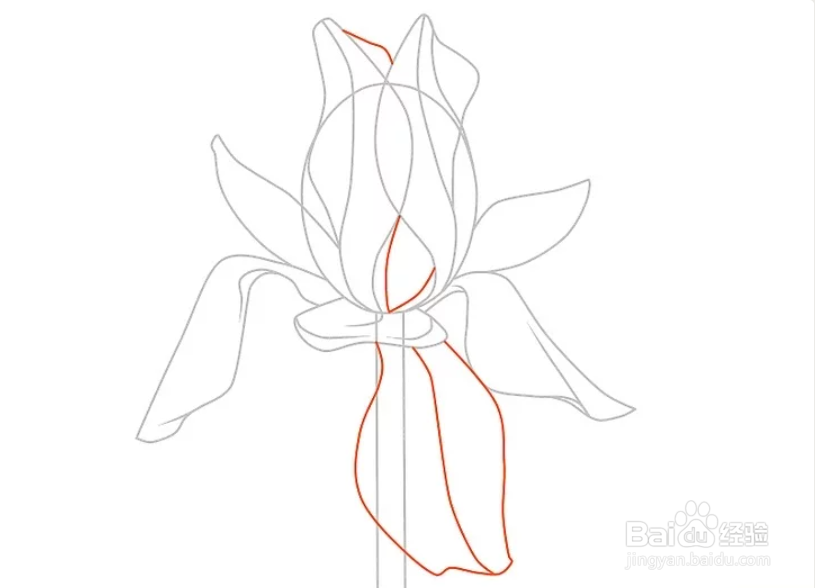 如何画一朵卡通花
