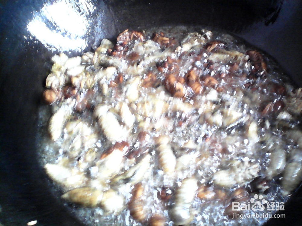 农家小院油炸知了猴美味可口