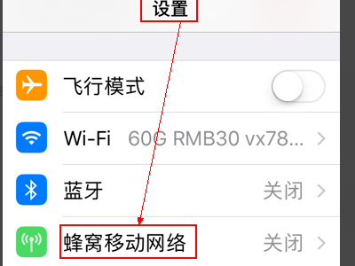 电信苹果手机设置里面怎么没有APN