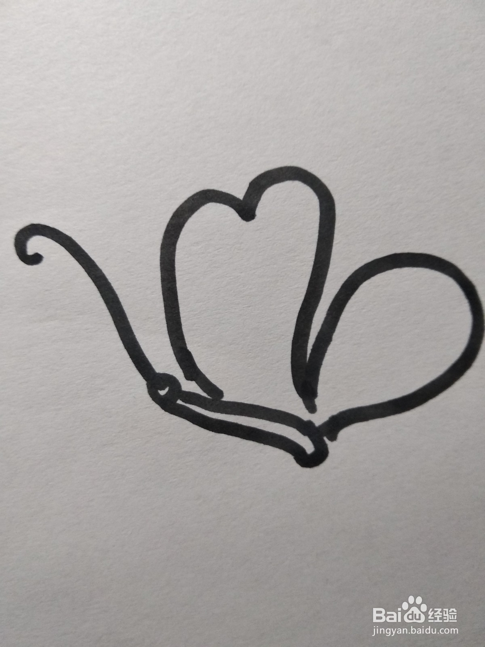 动物简笔画之蝴蝶的简笔画怎么画？