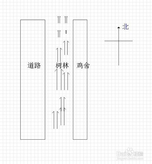 肉鸡养殖系类之：夏季高温鸡舍怎样防暑降温？