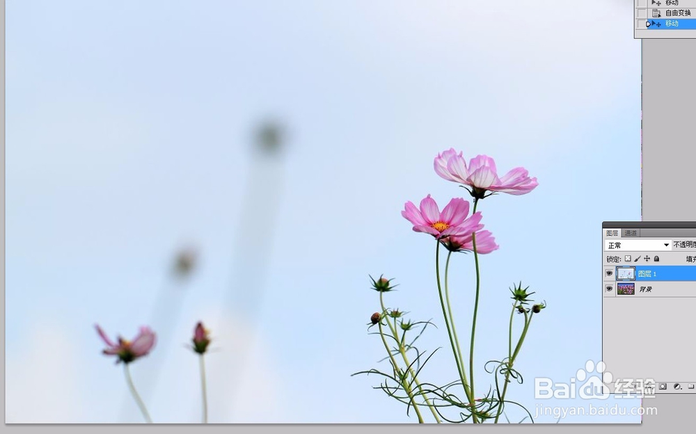 ps教程--创建图层、隐藏与显示、对齐与合并图层