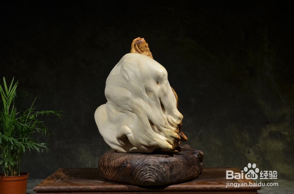 倦勤絮语3：崖柏的冰火两重天