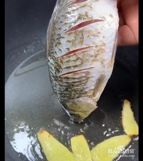 怎么用鲫鱼煮出白色的汤