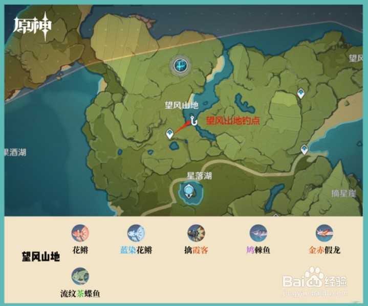 原神2.1钓鱼点位置大全