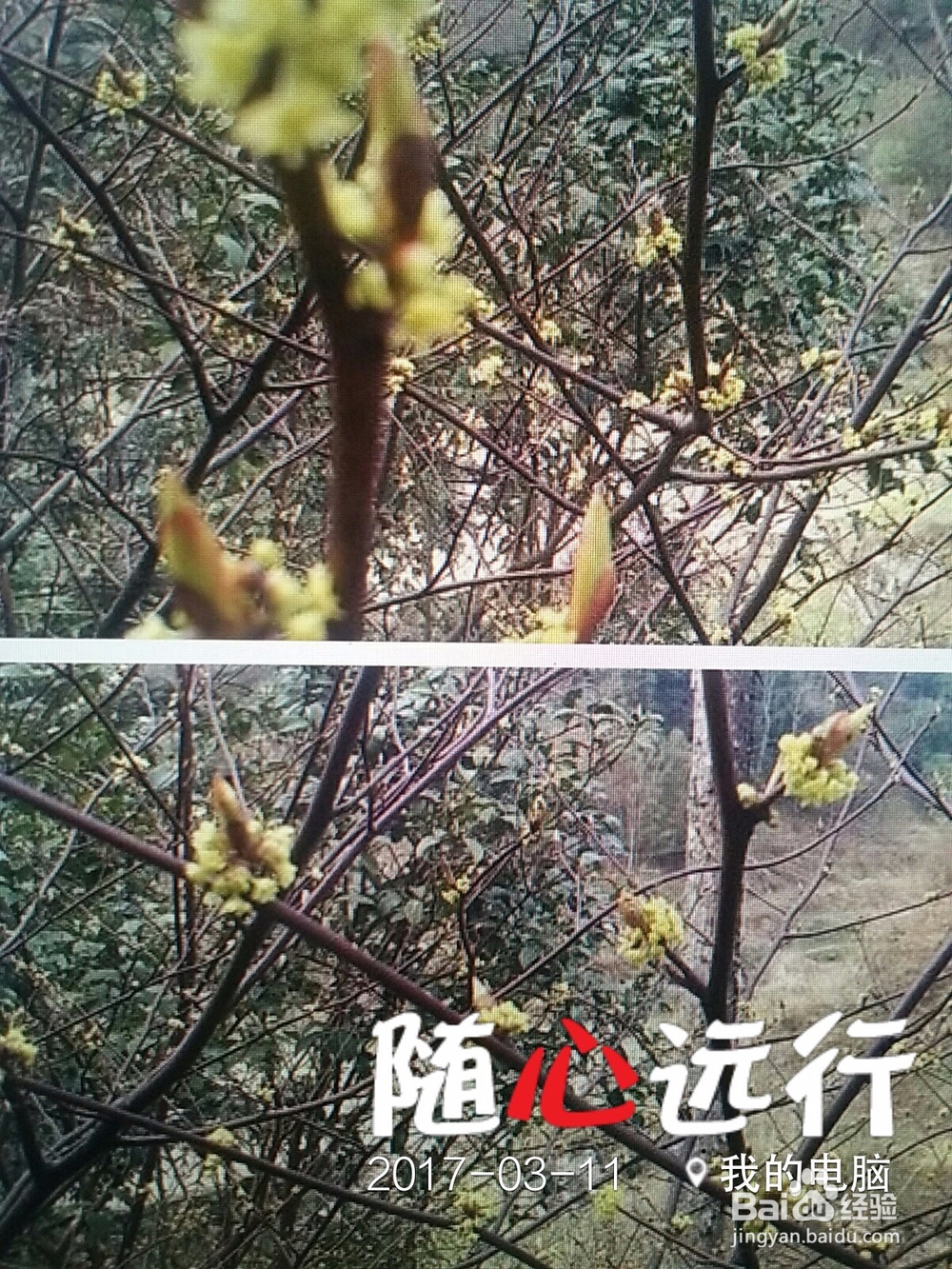 属相五行起名字方法