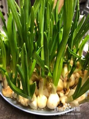 教你怎么做香嫩爽滑的青蒜辣炒血豆腐