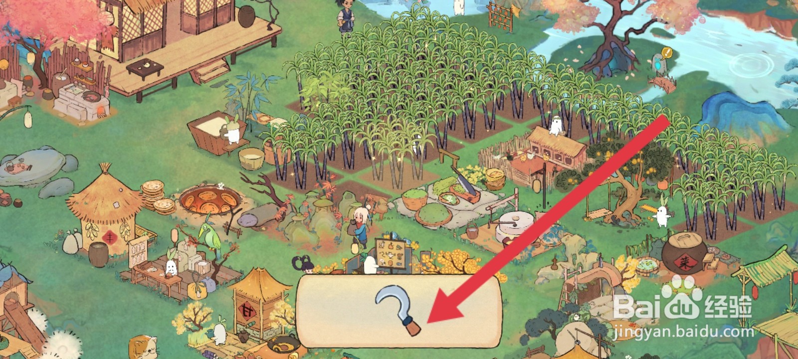 桃源深处有人家如何收割甘蔗植物