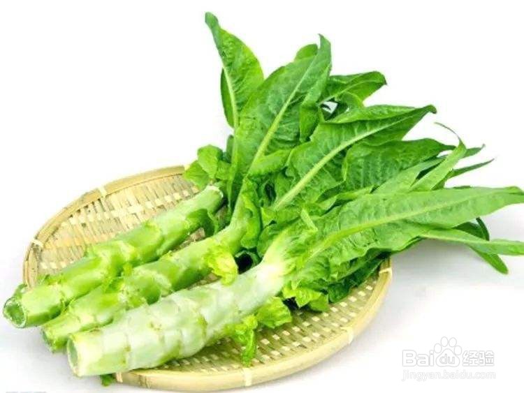 兔子能吃什么蔬菜