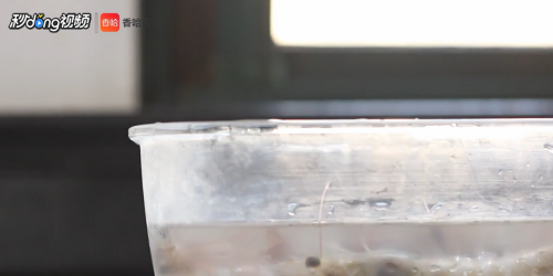 怎么做油焖大虾