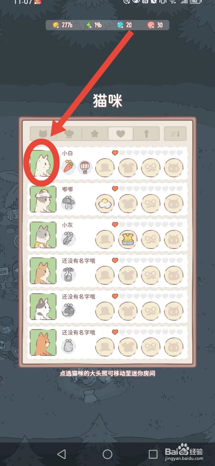 猫咪和汤如何给猫咪喂鱼