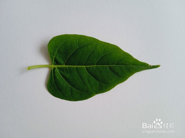 红米手机如何旋转图片