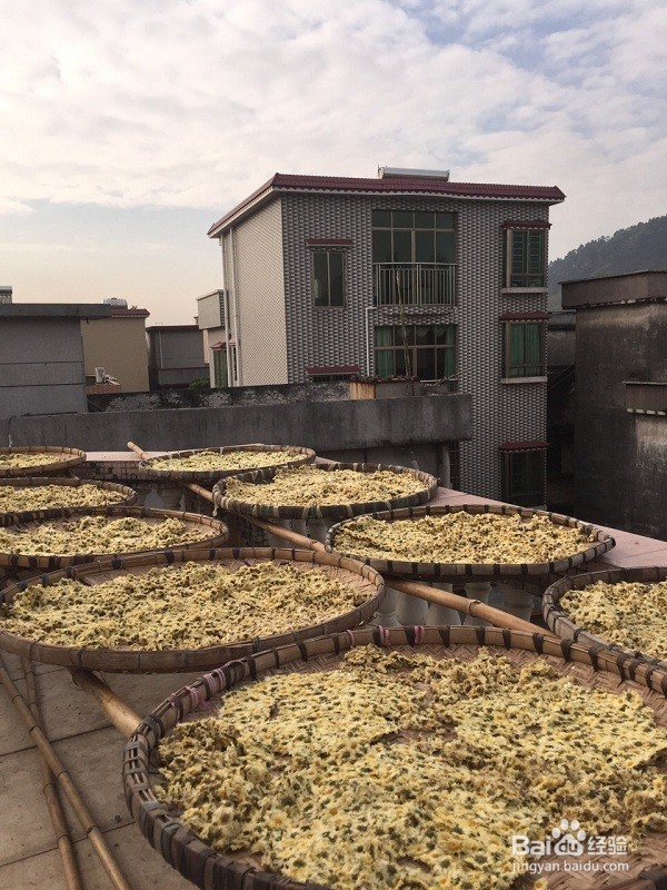 杭菊的功效与作用