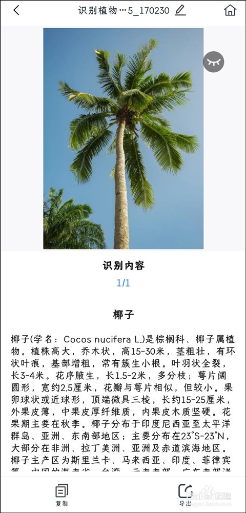 植物拍照识别怎么操作?
