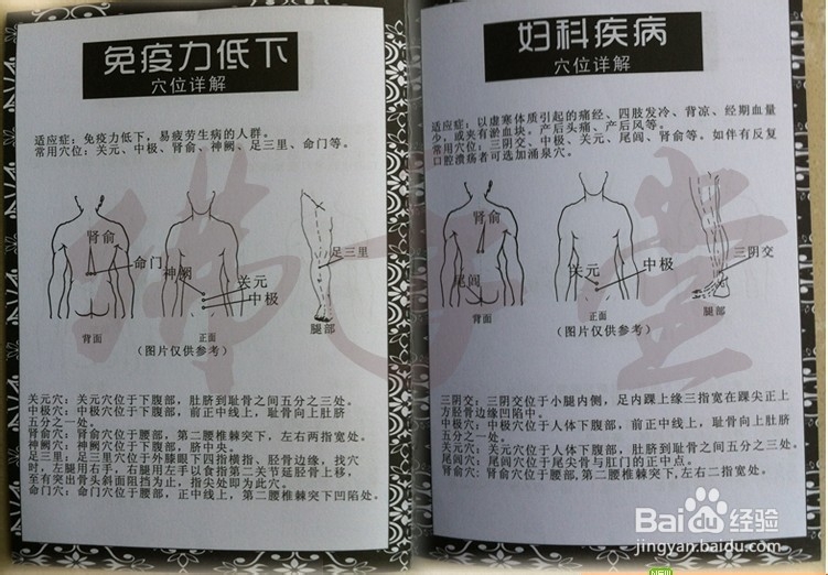 2013年三伏贴时间
