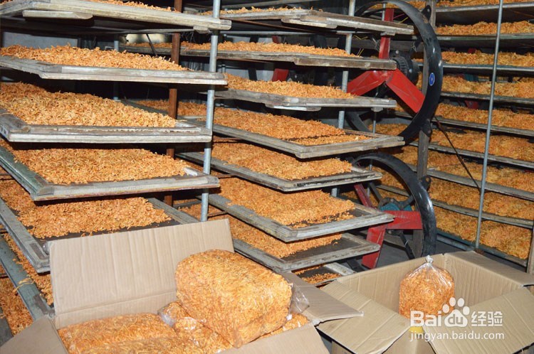 虫草花的功效与作用