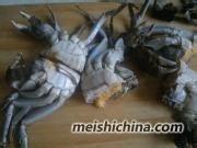 肉沫蒸蟹做法大闸蟹蒸法