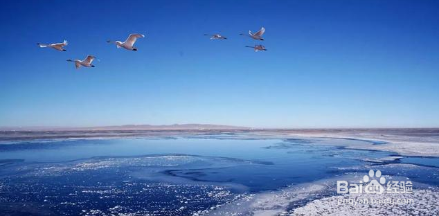 去青海玩,不能错过这些美景!