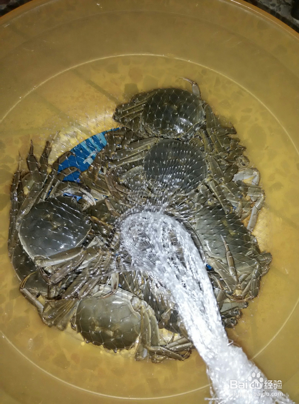 美味咖喱大闸蟹的教程