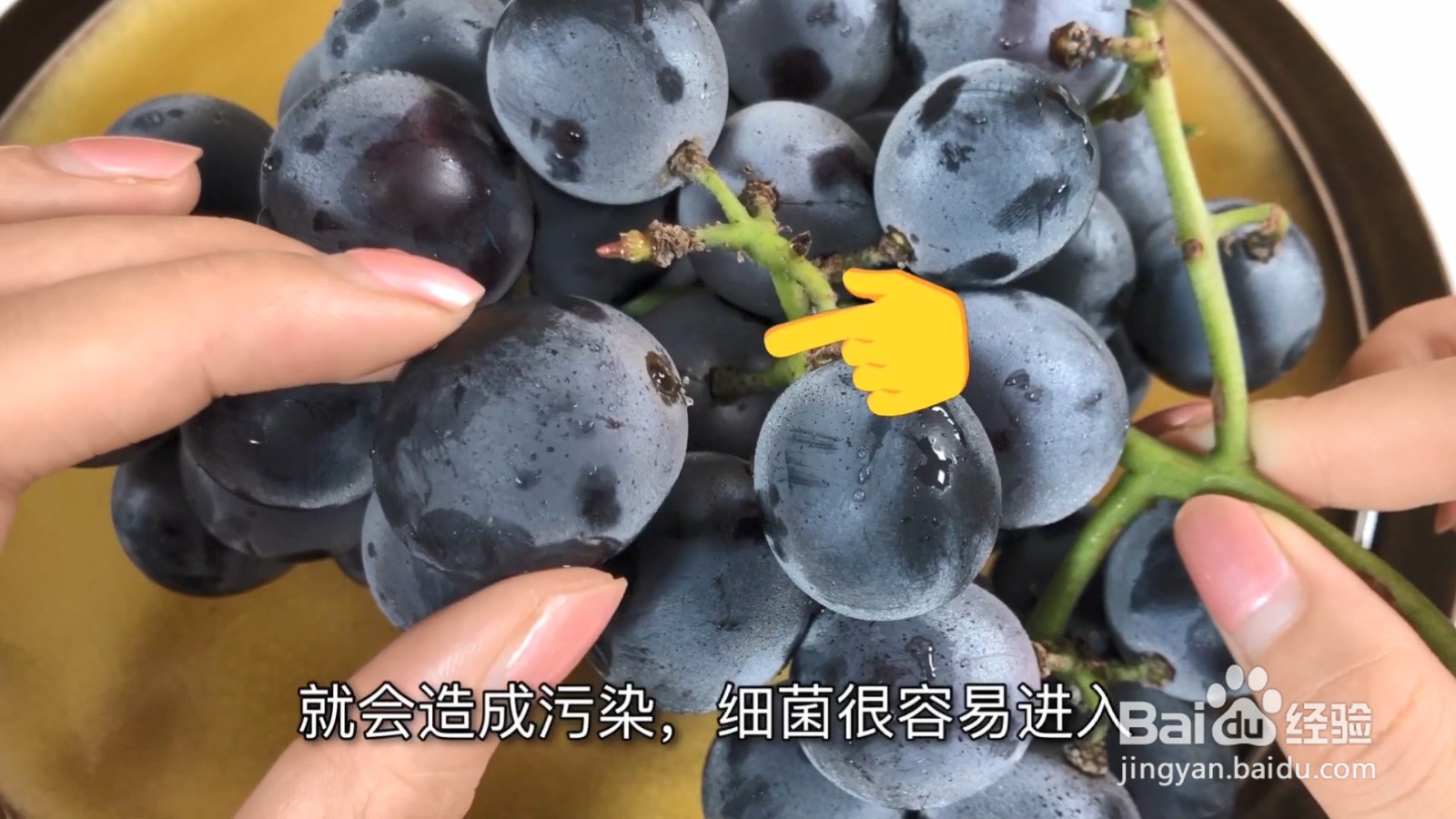 买回来的葡萄千万不要这样做,教你正确的方法!