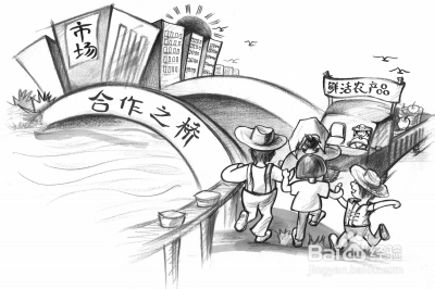 办农业合作社证件有哪些？