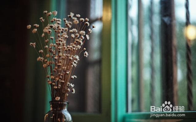 snapseed怎样处理照片